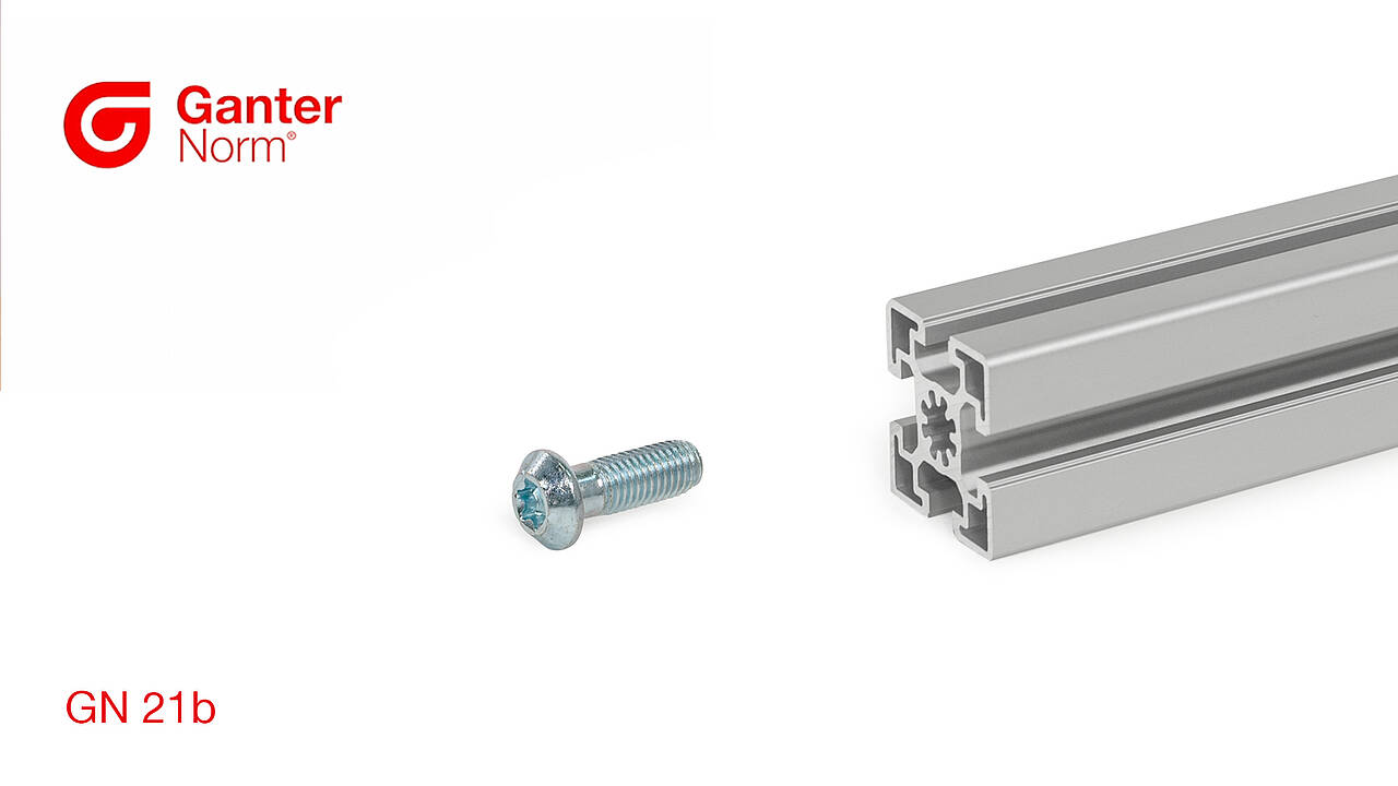 GN 21b Vis centrales